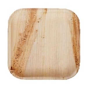 צלחת 10" מרובעת דקל 10 יח'