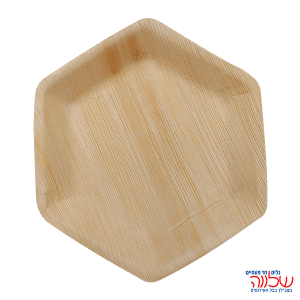 צלחת משושה 25 מדקל 10 יח'