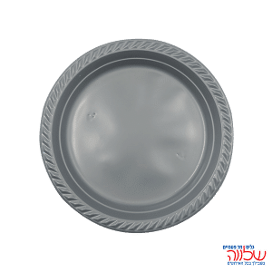 צלחת 9 צבעוני ארוז 20 כסף