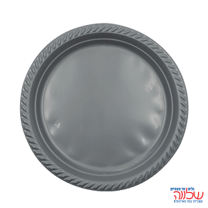 צלחת 10 צבעוני ארוז 20 כסף