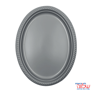 מגש שטוח "צבעוני" כסף ארוז 10 יח'