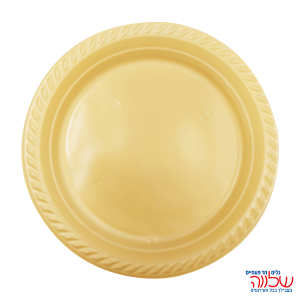 צלחת 10 צבעוני ארוז 20 זהב