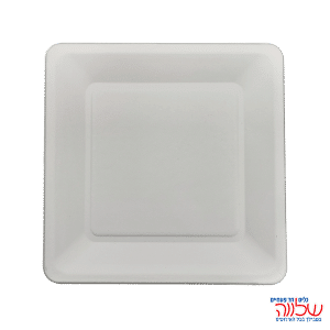 צלחת מרובע 10 מתכלה קני סוכר 20יח'