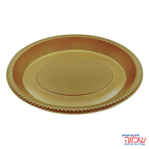 מגש עמוק "צבעוני" זהב ארוז 10 יח'