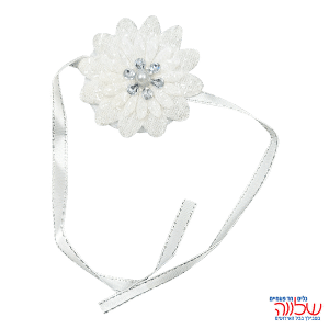 פד חינה מעוטר 12יחידות כסף