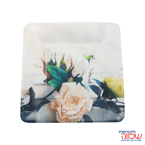 צלחות נייר 27ס"מ  אקולוגי 10 יח' פרחים