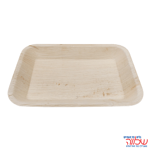 צלחת דקל מלבן גדול  24*16 10 יח'