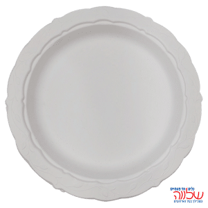 צלחת "10" מתכלות מעוטרות  25יח'