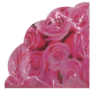 מפיות נייר 33*33 20יחידות