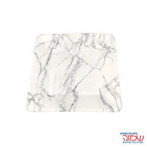 צלחות נייר 23ס"מ  אקולוגי כסף 10 יח'