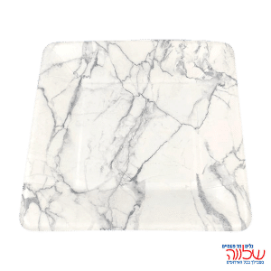 צלחות נייר 27ס"מ  אקולוגי שיש כסף 10 יח'