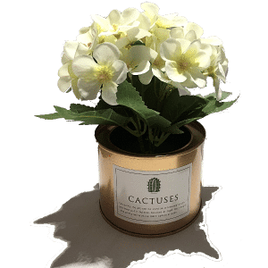 עציץ דקורטיבי עם פרחים -לבן