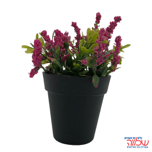 עציץ עם פרחים דקורטיבי לבנדר PINK