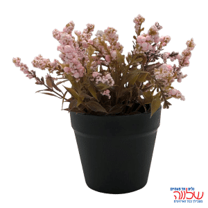 עציץ עם פרחים דקורטיבי PINK