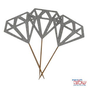 קיסם טבעות 3 יח כסף