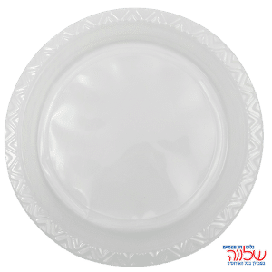 צלחת 10  ארוז 75 י'ח שקוף קריסטלי