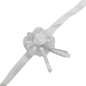 חב' 10 יחידות פד לחינה+ דיזי DA-1010-SILVER-10