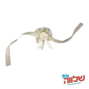 חב' 10 יחידות פד לחינה+ דיזי DA-1010-GOLD-10