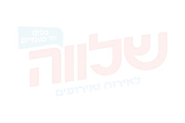 ממלא מקום